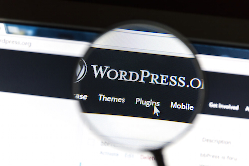 Close up of WordPress website