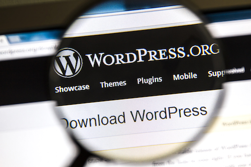 Close up of WordPress website under a magnifying glass.